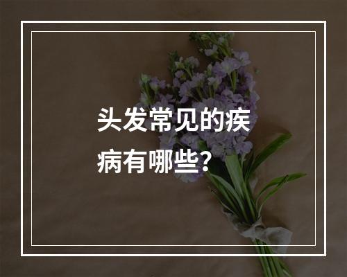 头发常见的疾病有哪些？