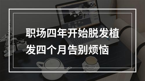 职场四年开始脱发植发四个月告别烦恼