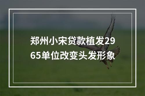 郑州小宋贷款植发2965单位改变头发形象