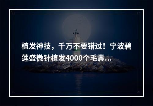 植发神技，千万不要错过！宁波碧莲盛微针植发4000个毛囊植发有多大面积