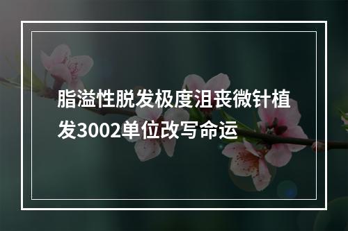 脂溢性脱发极度沮丧微针植发3002单位改写命运