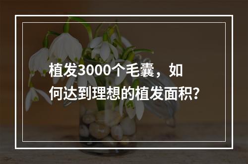 植发3000个毛囊，如何达到理想的植发面积？