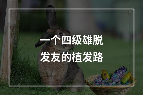 一个四级雄脱发友的植发路