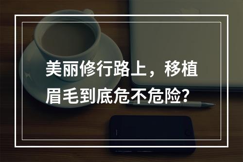 美丽修行路上，移植眉毛到底危不危险？