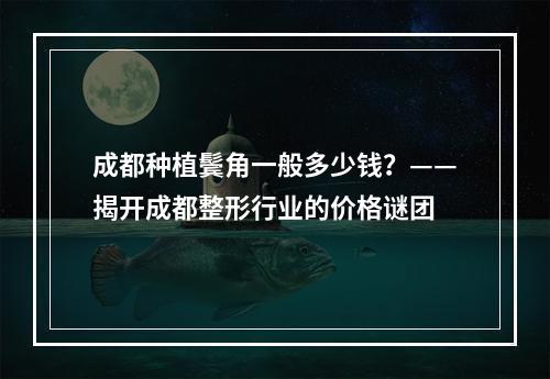 成都种植鬓角一般多少钱？——揭开成都整形行业的价格谜团