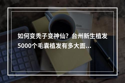 如何变秃子变神仙？台州新生植发5000个毛囊植发有多大面积