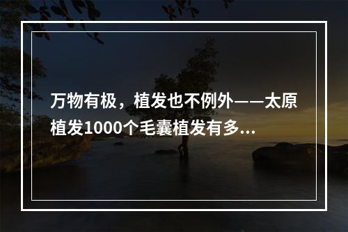 万物有极，植发也不例外——太原植发1000个毛囊植发有多大面积