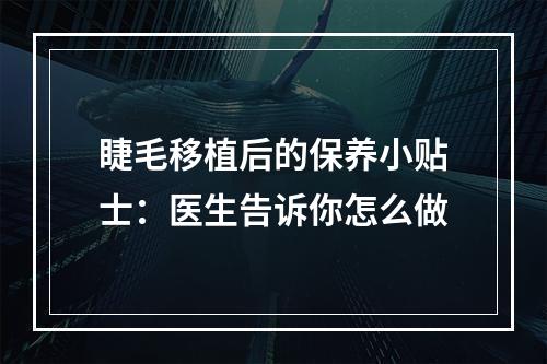 睫毛移植后的保养小贴士：医生告诉你怎么做