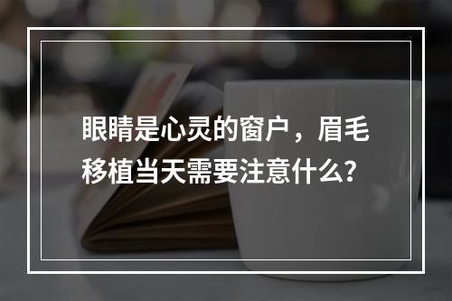 眼睛是心灵的窗户，眉毛移植当天需要注意什么？