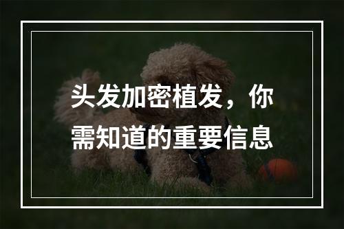 头发加密植发，你需知道的重要信息