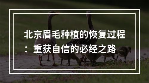 北京眉毛种植的恢复过程：重获自信的必经之路