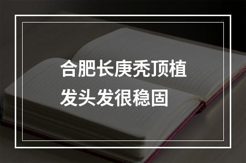 合肥长庚秃顶植发头发很稳固