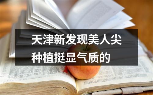 天津新发现美人尖种植挺显气质的