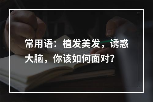 常用语：植发美发，诱惑大脑，你该如何面对？