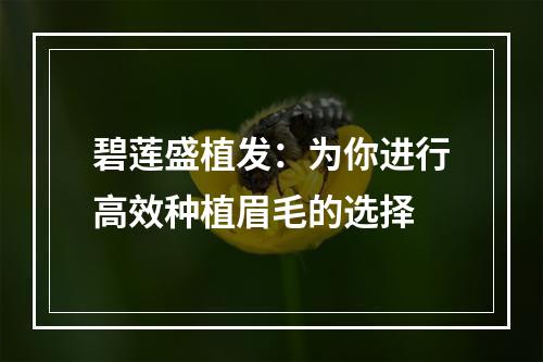 碧莲盛植发：为你进行高效种植眉毛的选择