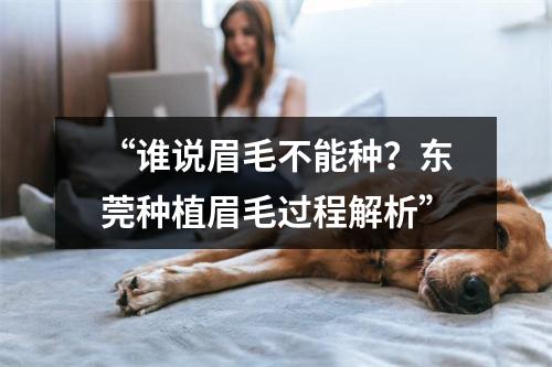 “谁说眉毛不能种？东莞种植眉毛过程解析”