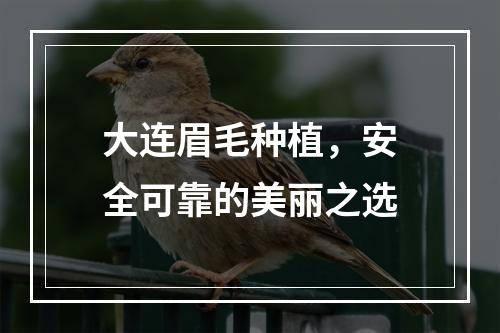 大连眉毛种植，安全可靠的美丽之选