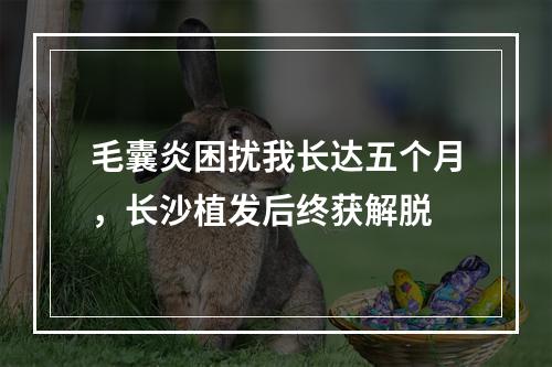 毛囊炎困扰我长达五个月，长沙植发后终获解脱