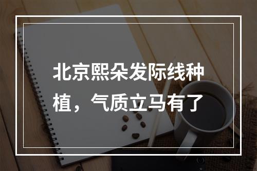 北京熙朵发际线种植，气质立马有了