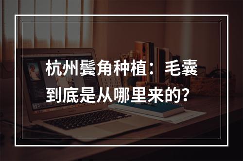 杭州鬓角种植：毛囊到底是从哪里来的？