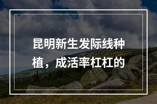 昆明新生发际线种植，成活率杠杠的