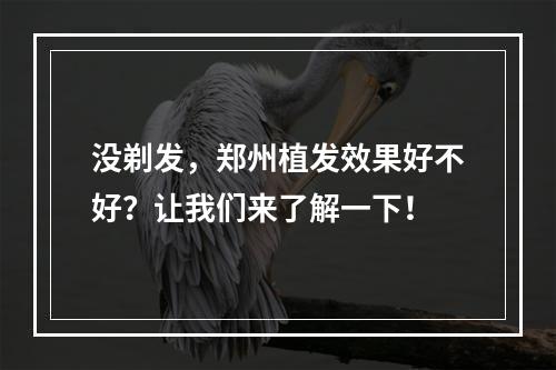 没剃发，郑州植发效果好不好？让我们来了解一下！