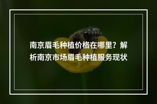 南京眉毛种植价格在哪里？解析南京市场眉毛种植服务现状