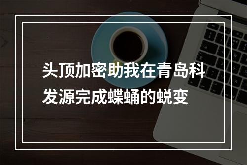 头顶加密助我在青岛科发源完成蝶蛹的蜕变