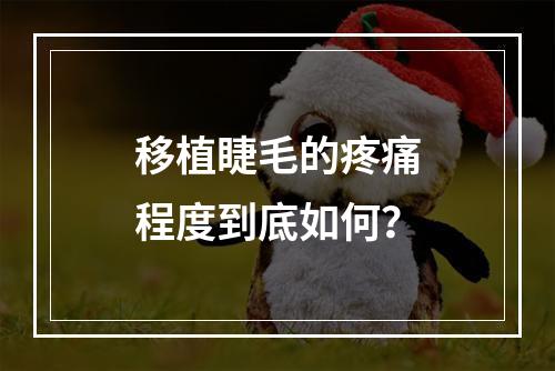 移植睫毛的疼痛程度到底如何？