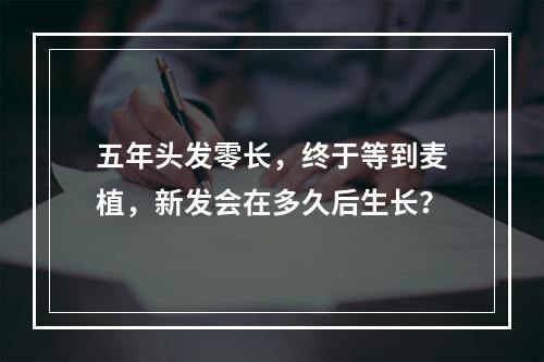 五年头发零长，终于等到麦植，新发会在多久后生长？