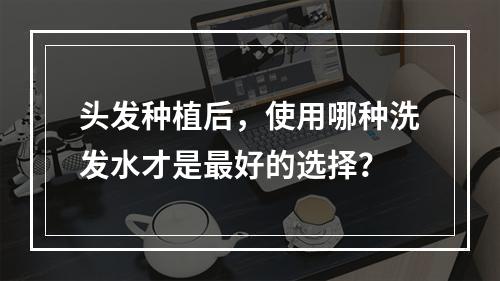 头发种植后，使用哪种洗发水才是最好的选择？