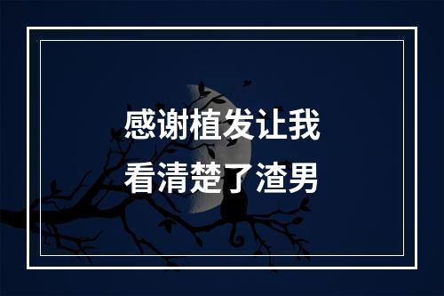 感谢植发让我看清楚了渣男