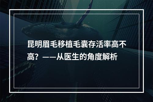 昆明眉毛移植毛囊存活率高不高？——从医生的角度解析