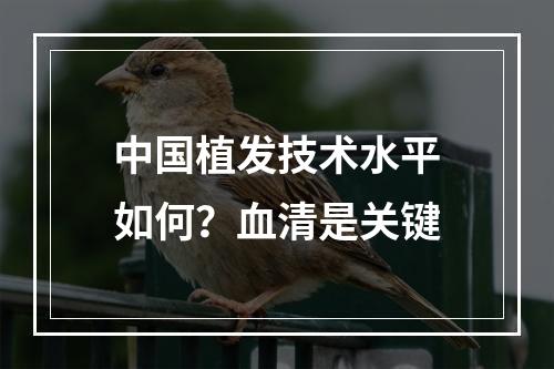 中国植发技术水平如何？血清是关键