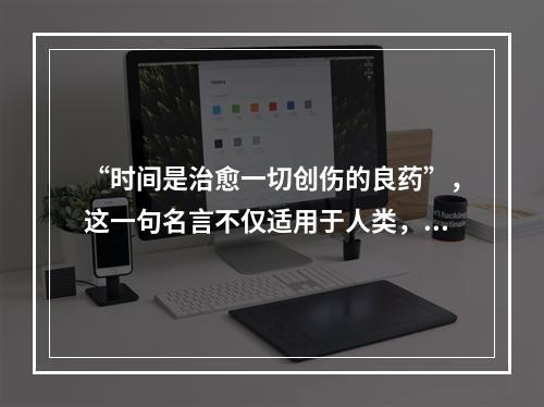 “时间是治愈一切创伤的良药”，这一句名言不仅适用于人类，也适用于我们的身体。那么，南京移植鬓角多久能自然生长呢？让我们来了解一下。