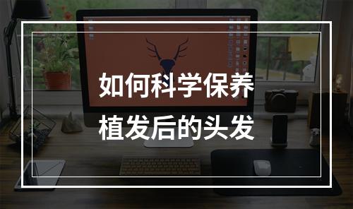 如何科学保养植发后的头发