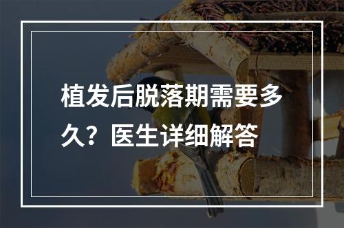 植发后脱落期需要多久？医生详细解答