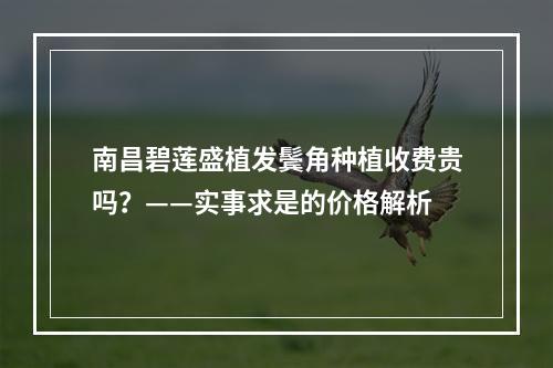 南昌碧莲盛植发鬓角种植收费贵吗？——实事求是的价格解析