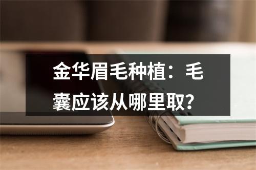 金华眉毛种植：毛囊应该从哪里取？