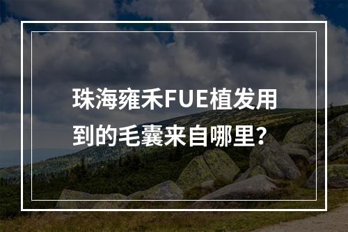 珠海雍禾FUE植发用到的毛囊来自哪里？