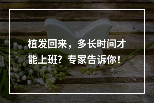 植发回来，多长时间才能上班？专家告诉你！