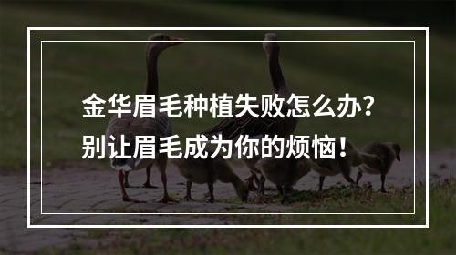 金华眉毛种植失败怎么办？别让眉毛成为你的烦恼！