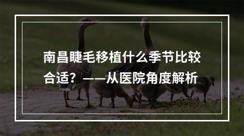 南昌睫毛移植什么季节比较合适？——从医院角度解析