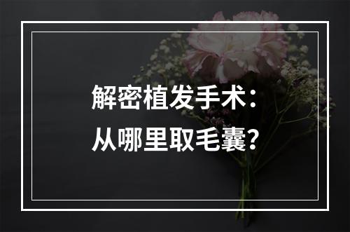 解密植发手术：从哪里取毛囊？