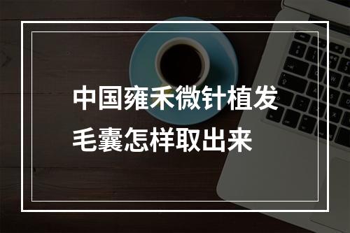 中国雍禾微针植发毛囊怎样取出来