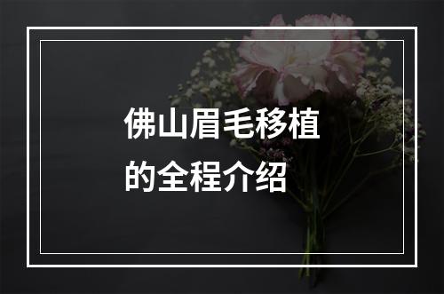 佛山眉毛移植的全程介绍