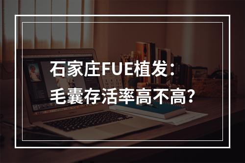 石家庄FUE植发：毛囊存活率高不高？