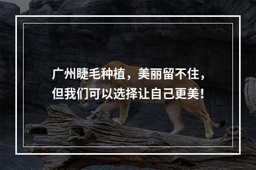 广州睫毛种植，美丽留不住，但我们可以选择让自己更美！