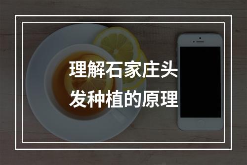 理解石家庄头发种植的原理