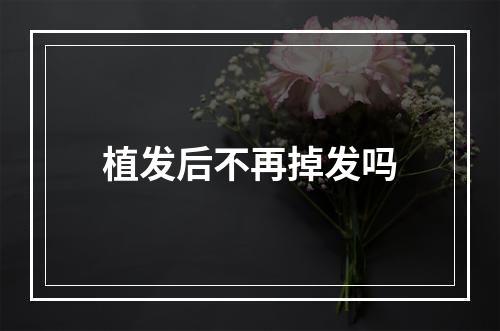 植发后不再掉发吗